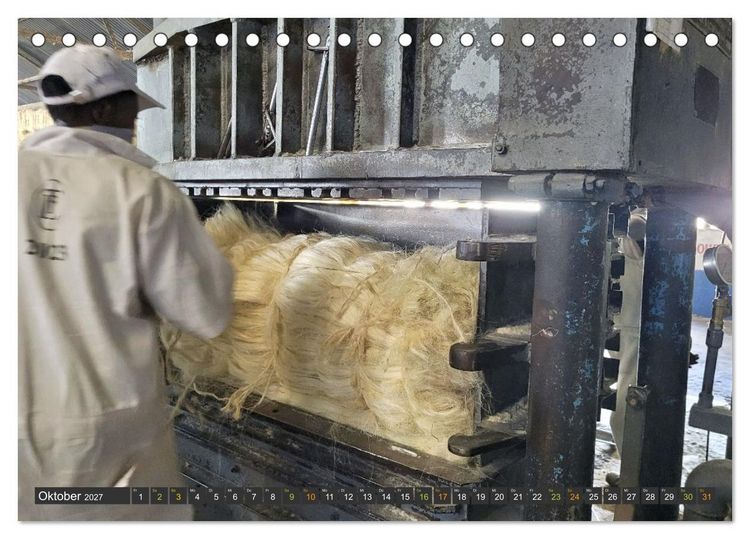 Produktbild: SISAL - von der Pflanze zum Produkt (Tischkalender 2027 DIN A5 quer), CALVENDO Monatskalender