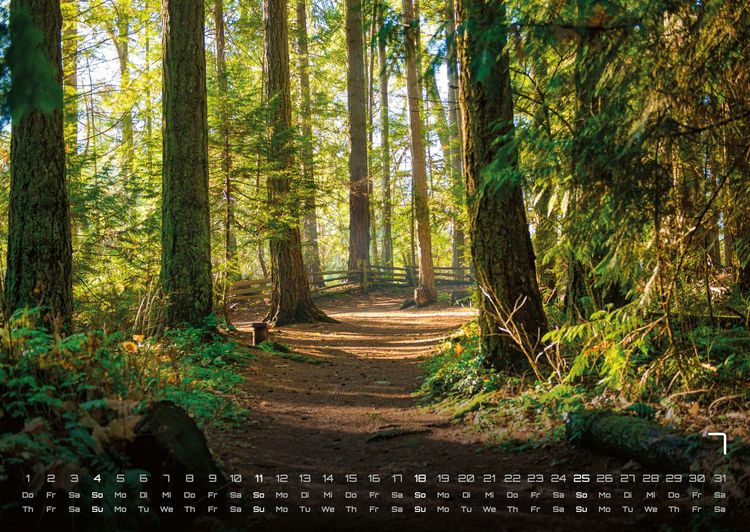 Produktbild: Wald - Erholung f&uuml;r Mensch und Tier - 2027 - Kalender DIN A2