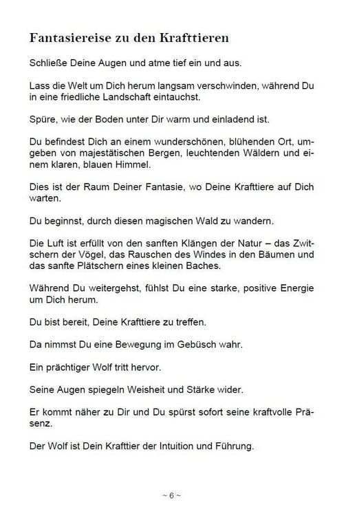 Produktbild: Die magische Welt der Krafttiere