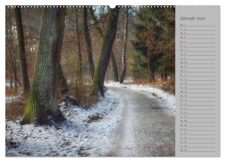Produktbild: Planungskalender M&auml;rchenwald 2026 (hochwertiger Premium Wandkalender 2026 DIN A2 quer), Kunstdruck in Hochglanz