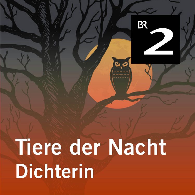 Produktbild: Tiere der Nacht: Dichterin