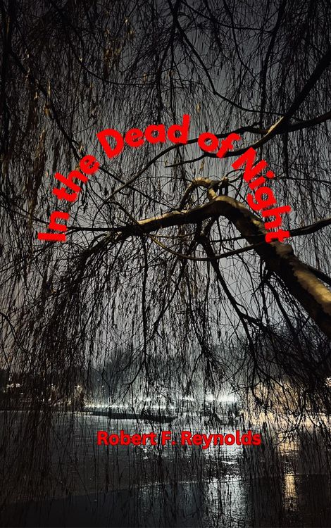 Produktbild: In the Dead of Night (Vietnam War Era)