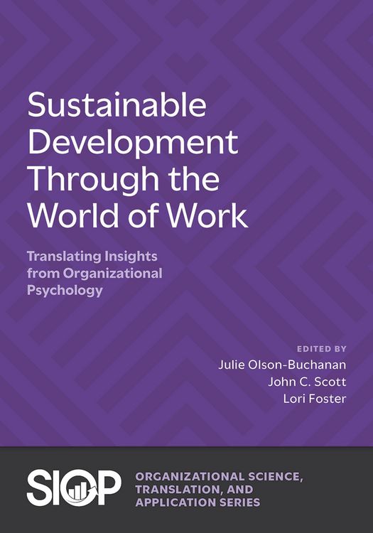 Produktbild: Sustainable Development Through the World of Work