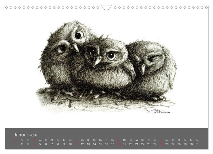 Produktbild: owls & friends 2026 (Wandkalender 2026 DIN A3 quer), CALVENDO Monatskalender