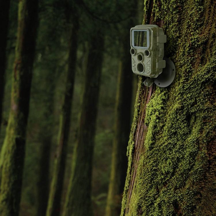 Produktbild: Braun Phototechnik Black 800 Mini Wildkamera 20 Megapixel Zeitrafferfunktion, Tonaufzeichnung Camouflage