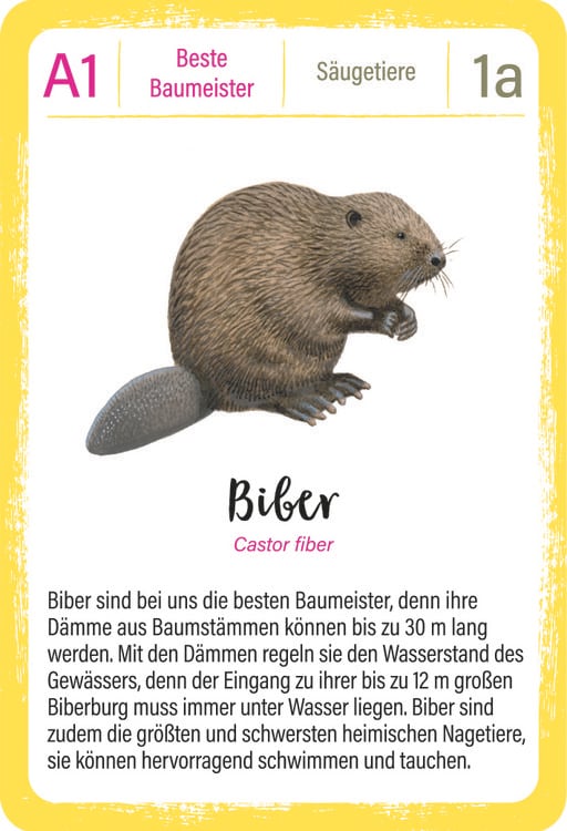 Produktbild: Expedition Natur Quartett Tierrekorde