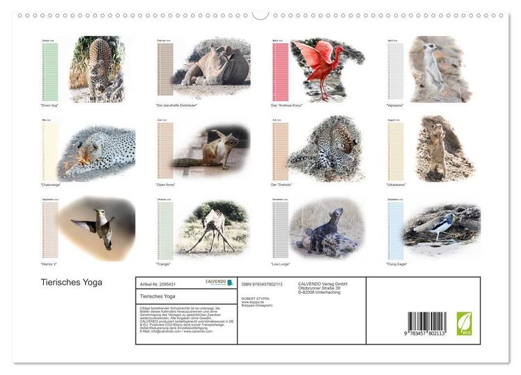 Produktbild: Tierisches Yoga (hochwertiger Premium Wandkalender 2026 DIN A2 quer), Kunstdruck in Hochglanz