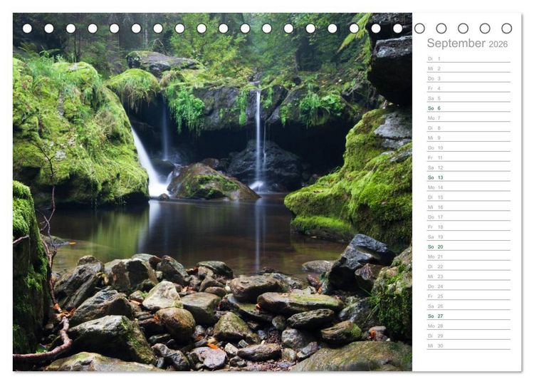 Produktbild: Im Deutschen Wald 2026 - ein Notizkalender (Tischkalender 2026 DIN A5 quer), CALVENDO Monatskalender