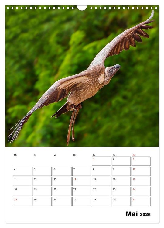 Produktbild: Raub- und Greifv&ouml;gel im Flug (Wandkalender 2026 DIN A3 hoch), CALVENDO Monatskalender