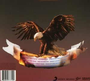 Produktbild: Birds In The Trap Sing McKnight