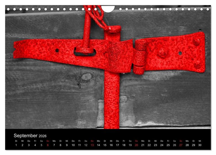 Produktbild: Blickfang in Rot (Wandkalender 2026 DIN A4 quer), CALVENDO Monatskalender