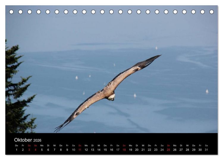 Produktbild: Faszination Bodensee (Tischkalender 2026 DIN A5 quer), CALVENDO Monatskalender