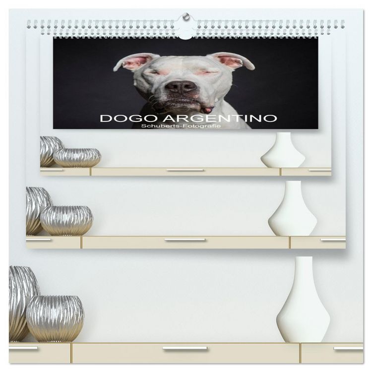 Produktbild: DOGO ARGENTINO (hochwertiger Premium Wandkalender 2026 DIN A2 quer), Kunstdruck in Hochglanz