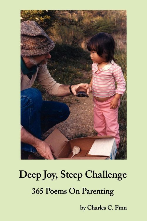 Produktbild: Deep Joy, Steep Challenge