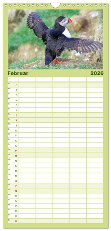 Produktbild: Familienplaner 2026 - Papageitaucher - Clowns der nordischen Vogelwelt mit 5 Spalten (Wandkalender, 21 x 45 cm) CALVENDO