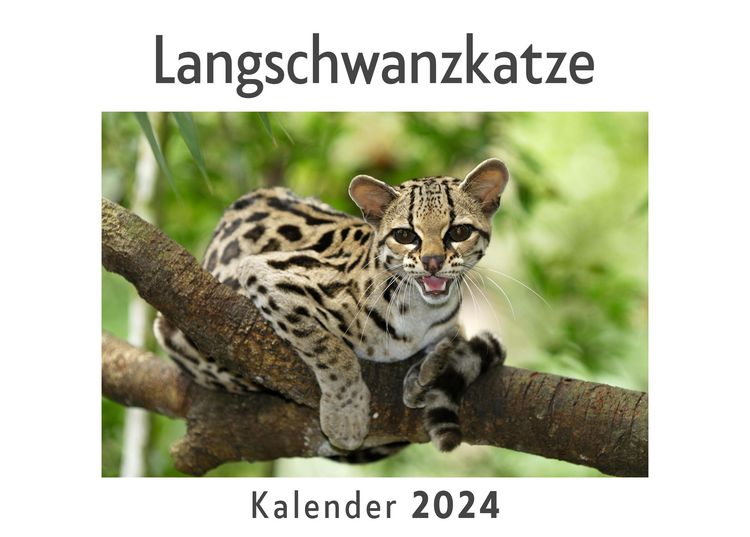 Produktbild: Langschwanzkatze (Wandkalender 2024, Kalender DIN A4 quer, Monatskalender im Querformat mit Kalendarium, Das perfekte Geschenk)
