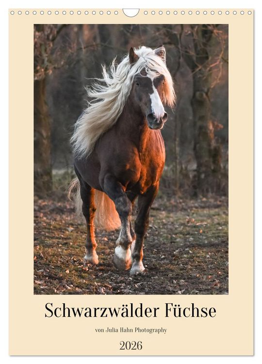 Produktbild: Schwarzw&auml;lder F&uuml;chse von Julia Hahn Photography (Wandkalender 2026 DIN A3 hoch), CALVENDO Monatskalender