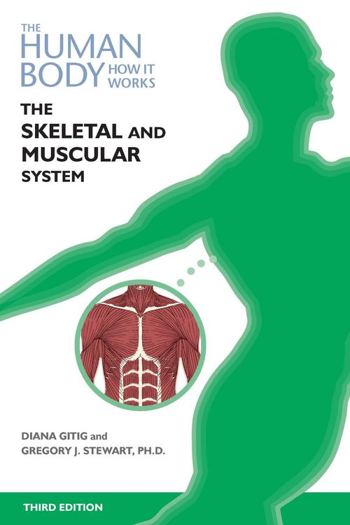 Produktbild: The Skeletal and Muscular Systems, Third Edition (Ls Edition)