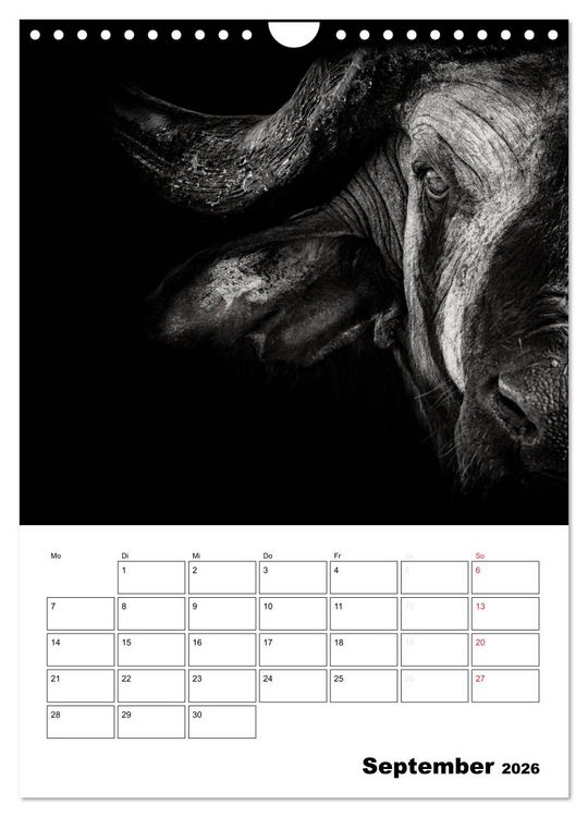 Produktbild: Charakterk&ouml;pfe aus der Welt der Tiere (Wandkalender 2026 DIN A4 hoch), CALVENDO Monatskalender