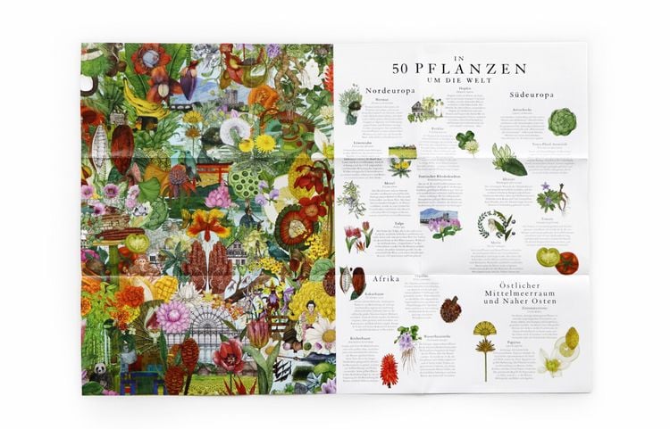 Produktbild: In 50 Pflanzen um die Welt