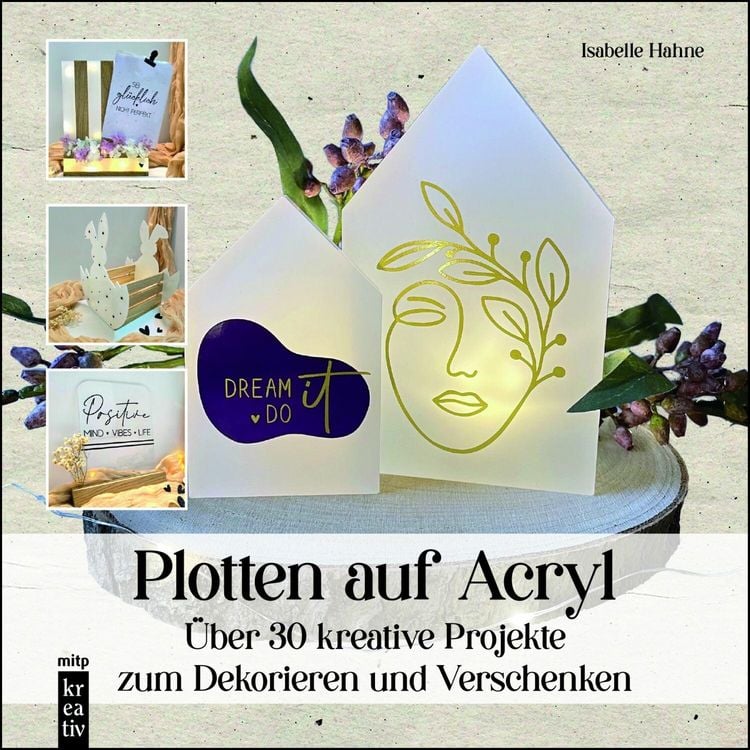 Bild vom Artikel Plotten auf Acryl vom Autor Isabelle Hahne