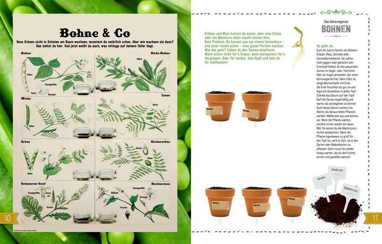Produktbild: NATUR