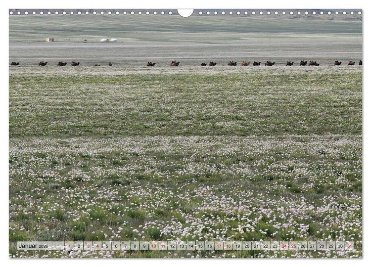 Produktbild: Nord-Gobi (Wandkalender 2026 DIN A3 quer), CALVENDO Monatskalender