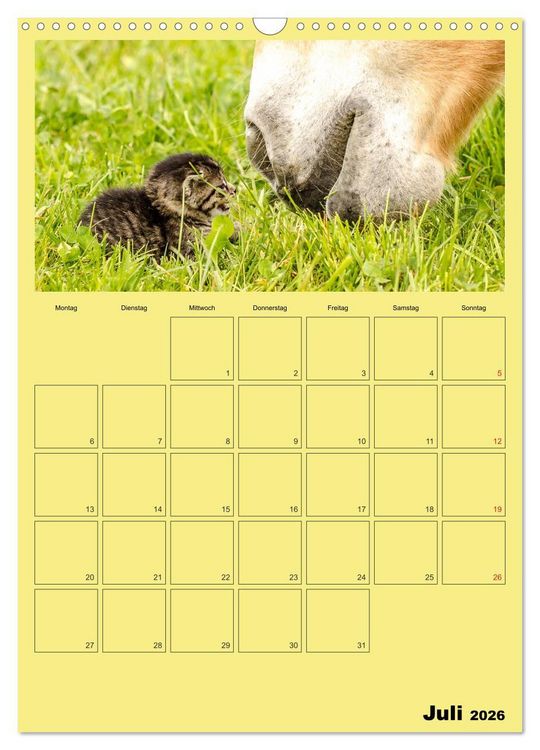 Produktbild: Mit Katzen durchs Jahr / Planer (Wandkalender 2026 DIN A3 hoch), CALVENDO Monatskalender