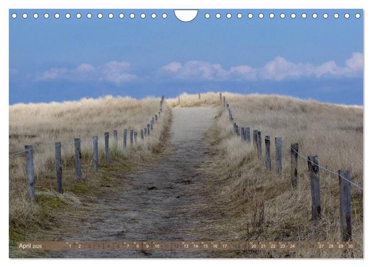 Produktbild: Strandwanderungen auf Texel (Wandkalender 2026 DIN A4 quer), CALVENDO Monatskalender