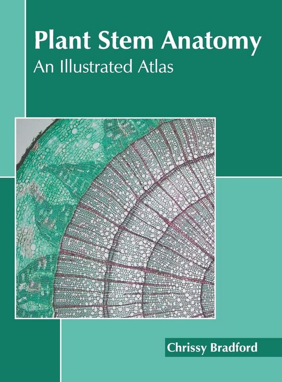 Produktbild: Plant Stem Anatomy: An Illustrated Atlas