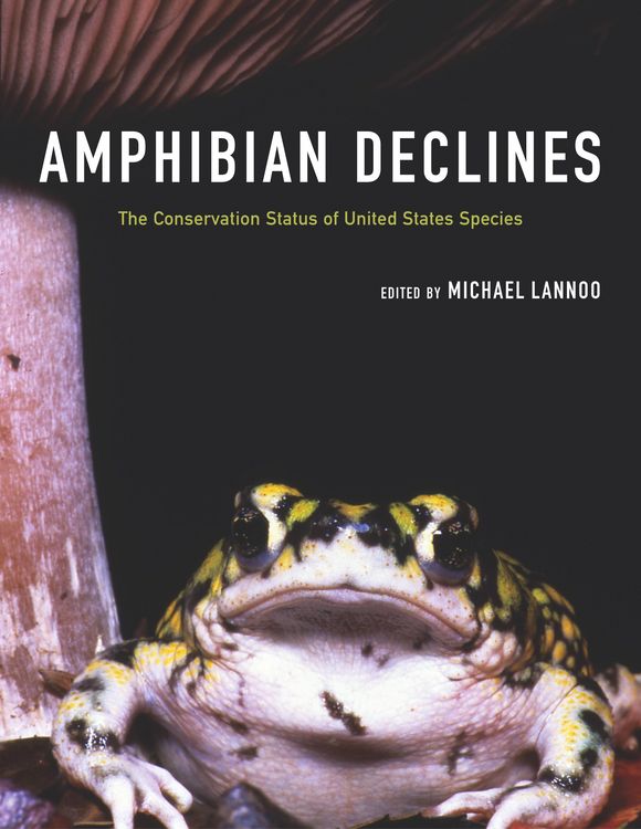 Produktbild: Amphibian Declines