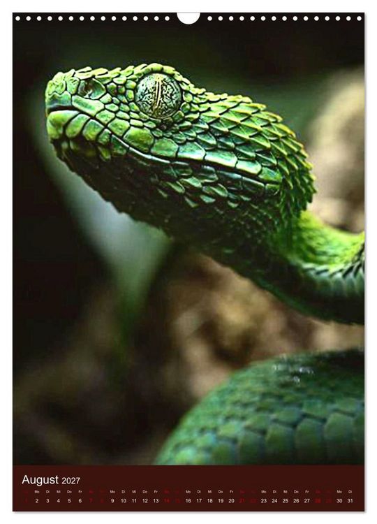 Produktbild: The Power Of Snake (Wandkalender 2027 DIN A3 hoch), CALVENDO Monatskalender