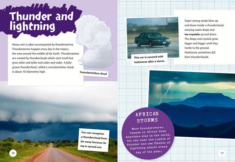 Produktbild: Big Cat - Wild Weather
