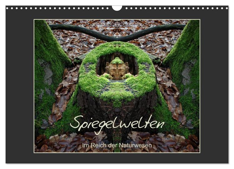 Produktbild: Spiegelwelten - Im Reich der Naturwesen (Wandkalender 2026 DIN A3 quer), CALVENDO Monatskalender