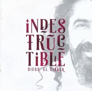 Produktbild: Indestructible