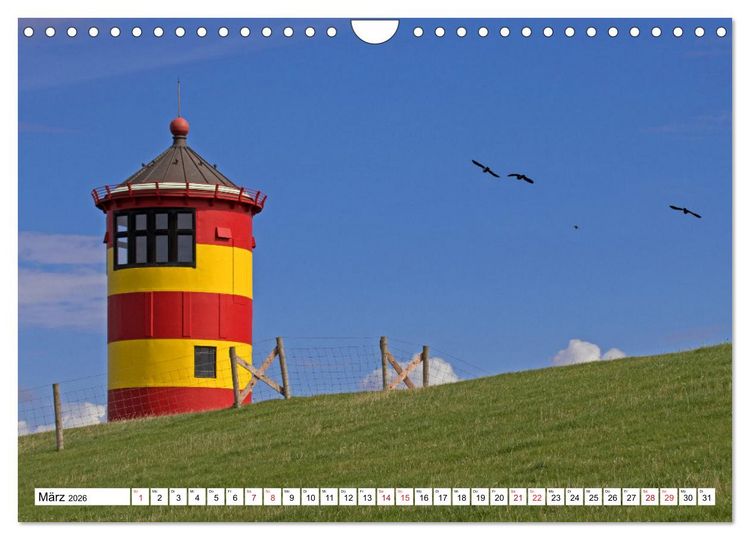 Produktbild: GREETSIEL - Schafe - Krabbenkutter - M&ouml;wen (Wandkalender 2026 DIN A4 quer), CALVENDO Monatskalender