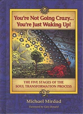 Produktbild: You're Not Going Crazy... You're Just Waking Up!