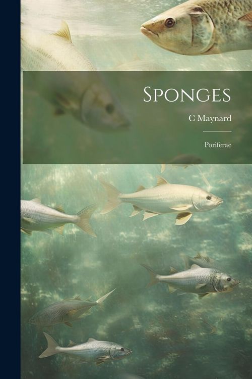 Produktbild: Sponges; Poriferae