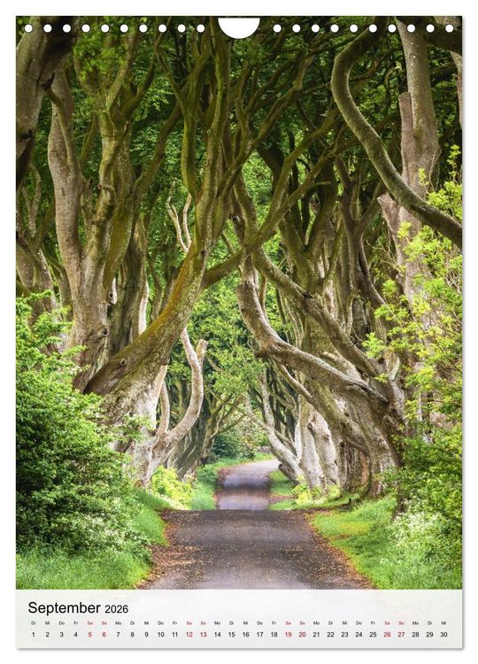 Produktbild: (Nord-)Irland - Die gr&uuml;ne Sch&ouml;nheit (Wandkalender 2026 DIN A4 hoch), CALVENDO Monatskalender