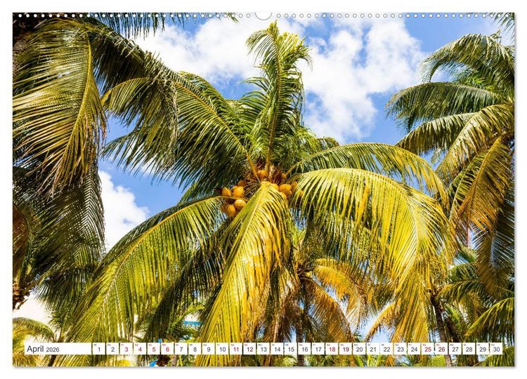 Produktbild: Unterwegs auf Yucatan Mexiko (hochwertiger Premium Wandkalender 2026 DIN A2 quer), Kunstdruck in Hochglanz