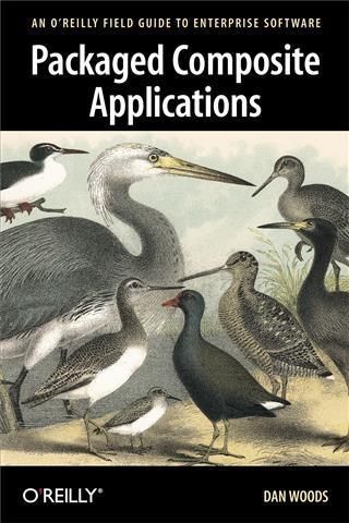 Produktbild: Packaged Composite Applications