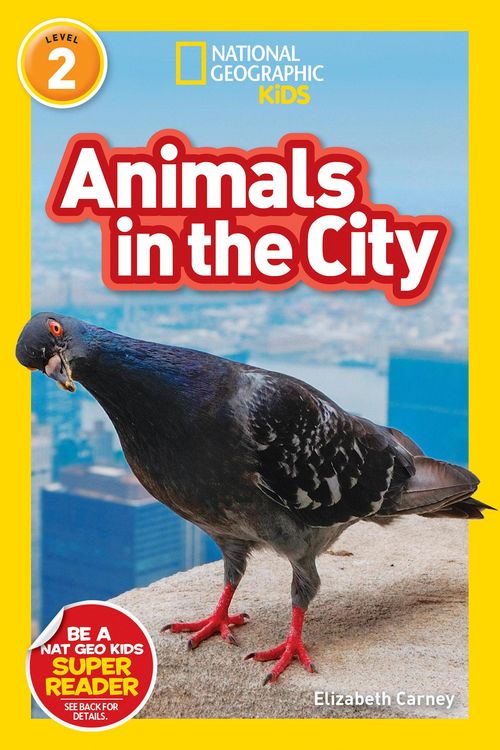 Produktbild: Animals in the City (National Geographic Kids Readers, Level 2)