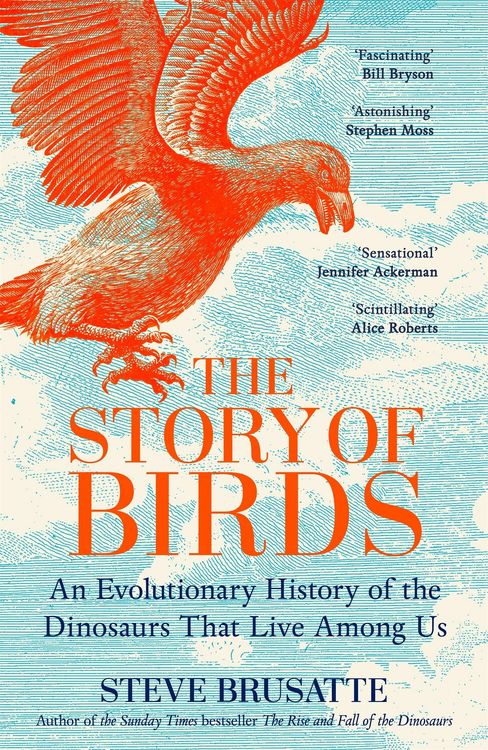 Produktbild: The Story of Birds