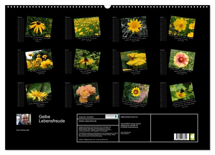Produktbild: Gelbe Lebensfreude (Wandkalender 2026 DIN A2 quer), CALVENDO Monatskalender