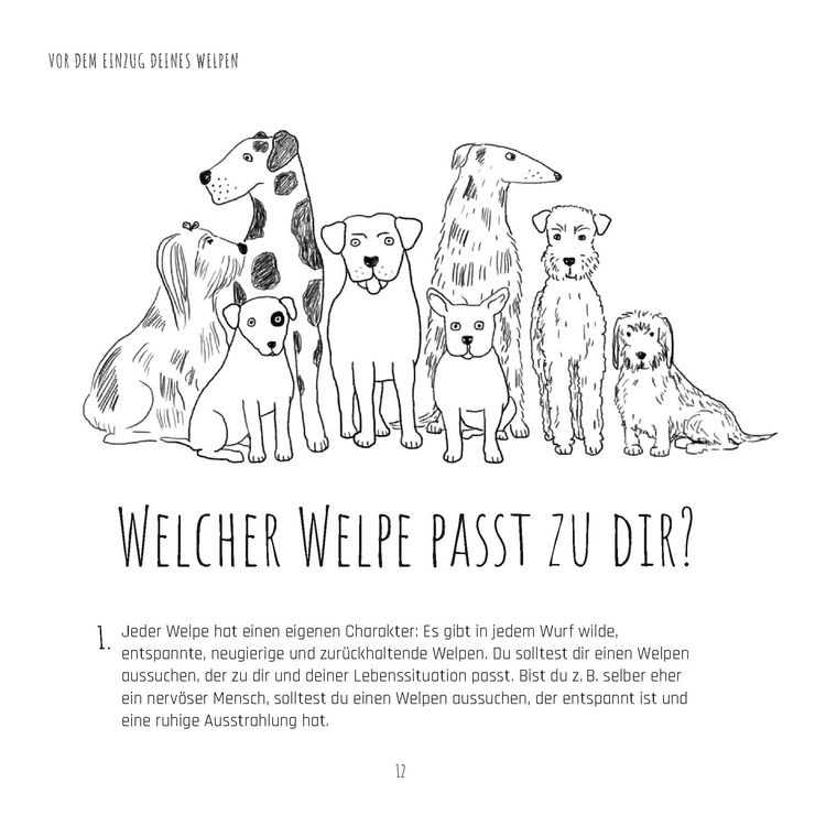 Produktbild: Die Welpen-Fibel. Junge Hunde im ersten Lebensjahr: Sozialisierung, Erziehung, Besch&auml;ftigung