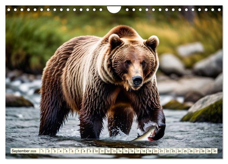 Produktbild: Small and large bears (Wall Calendar 2026 DIN A4 landscape), CALVENDO 12 Month Wall Calendar