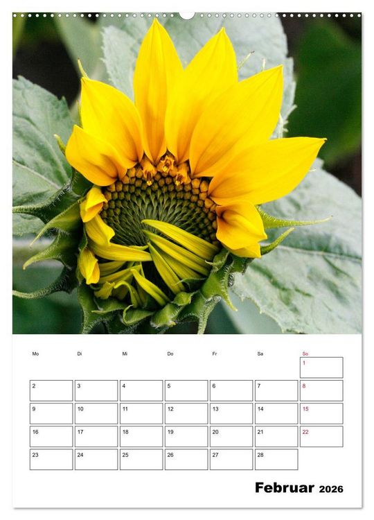 Produktbild: Leuchtende Sonnenblumen (Wandkalender 2026 DIN A2 hoch), CALVENDO Monatskalender