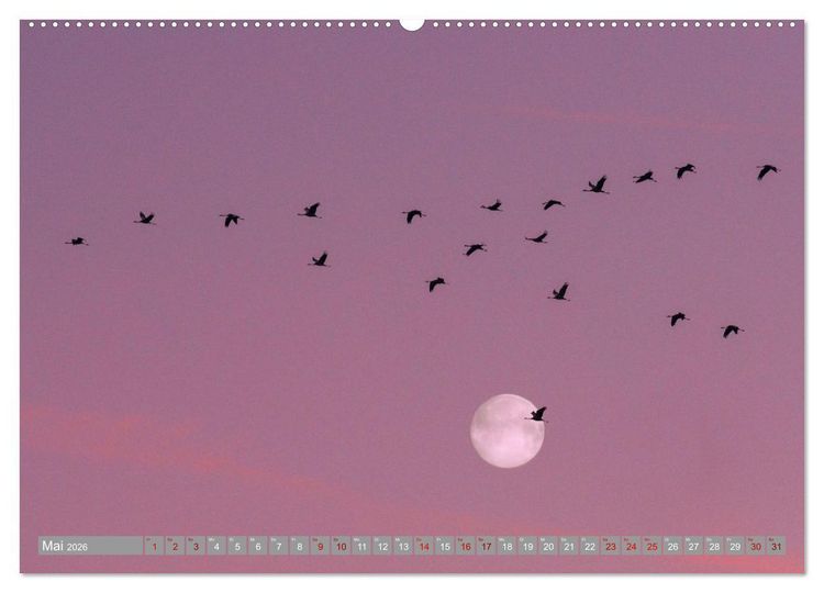Produktbild: Vollmond - Momente der Ruhe (Wandkalender 2026 DIN A2 quer), CALVENDO Monatskalender