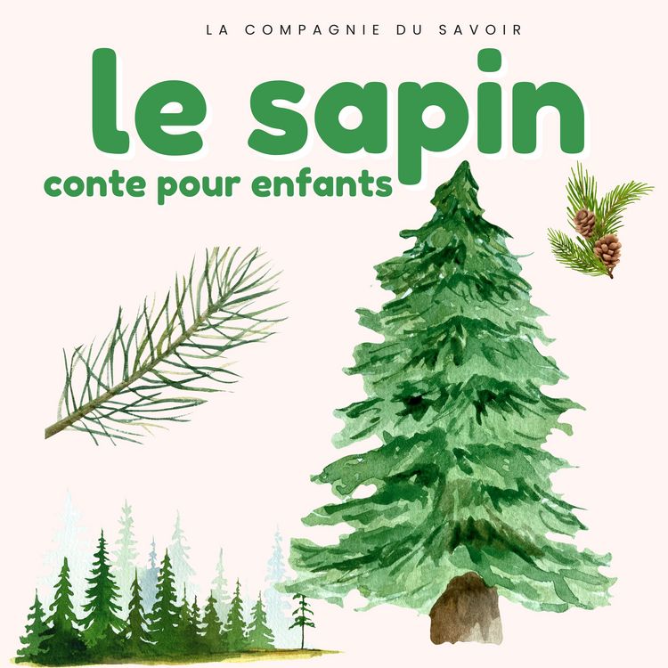Produktbild: Le sapin - Conte pour enfants