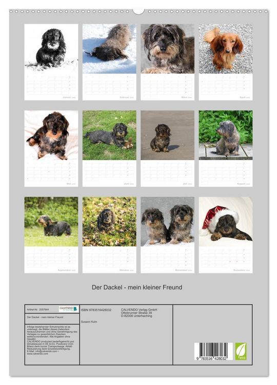 Produktbild: Der Dackel - mein kleiner Freund (hochwertiger Premium Wandkalender 2026 DIN A2 hoch), Kunstdruck in Hochglanz